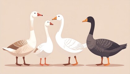 Four geese in various colors, standing in a row, facing forward