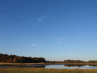 The scenic beauty of the wetlands, within the Bombay Hook National Wildlife Refuge, during the...