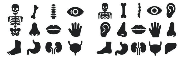 Collection of simple black shapes representing human anatomy parts on a white background for educational use