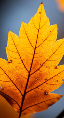 Close-up of yellow leaf, intricate vein pattern visible, backlit for transparency effect, showcasing autumnal nature's beauty and fragility