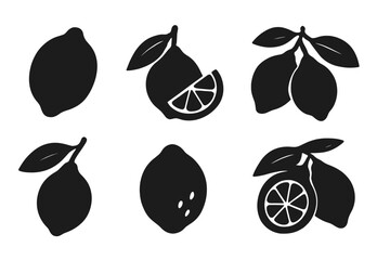 Graphic representation of lemons and lime slices featuring various angles and styles in monochrome design