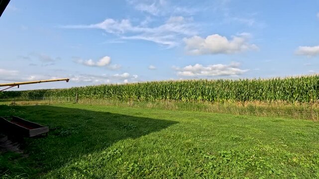 Tasseling Cornfield Behind Fence with Auger on Grass, Turning Slowly Toward Metal Feeder