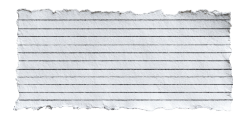 Torn piece of lined paper