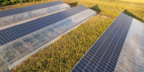 Aerial view of modern solar greenhouses with photovoltaic panel roofs, sustainable agriculture and renewable energy integration for eco farming and clean power production
