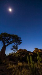 Nighttime landscape with baobab tree, moon, and stars
