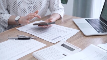 Business people professionals analyzing financial documents. Two colleagues working together,...