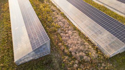 Aerial view of modern solar greenhouses with photovoltaic panel roofs, sustainable agriculture and renewable energy integration for eco farming and clean power production