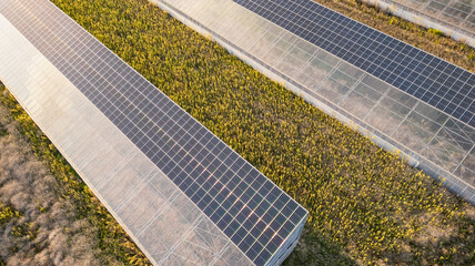 Aerial view of modern solar greenhouses with photovoltaic panel roofs, sustainable agriculture and renewable energy integration for eco farming and clean power production