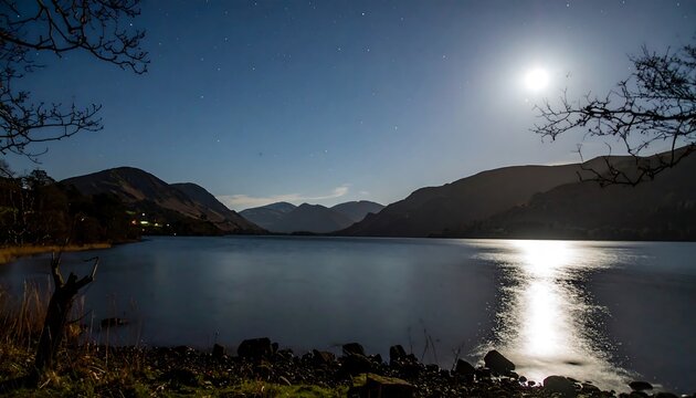 Serene lake at night under moonlight (1)