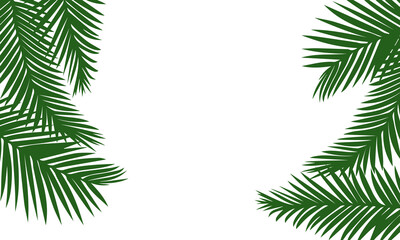 Lush green palm leaf background. Tropical template isolated on a white background. Coconut palm fronds. Plant foliage. Vector flat summer illustration.
