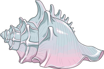 Cartoon conch shell illustration, spiral marine design with blue-pink gradient, ocean nature art, cad drawing flat vector illustration