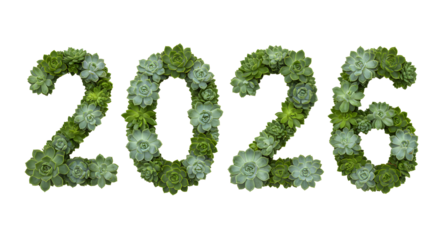 Succulent plant numbers forming 2026 date on white background, symbolizing growth and future milestones, perfect for New Year and business themes