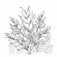 Fototapeta premium Kelp line art underwater plant drawing healthy nutrition green sketch