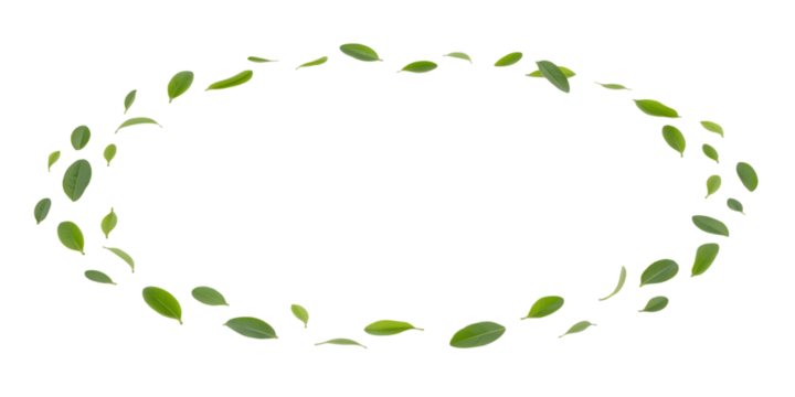 Oval Frame Made of Small Green Leaves border isolated on a transparent background