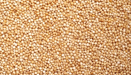 Fototapeta premium Beige Quinoa Seeds Texture Background