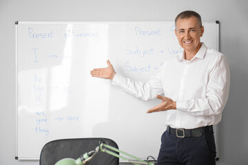 Male teacher pointing at flipboard with English grammar in classroom