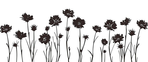 Silhouetted floral arrangement featuring various heights of flowers against a stark white backdrop.  The dark blossoms create a striking contrast