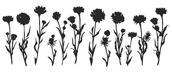 A collection of fifteen stylized black silhouettes of wildflowers, varying in height and bloom, set against a white backdrop