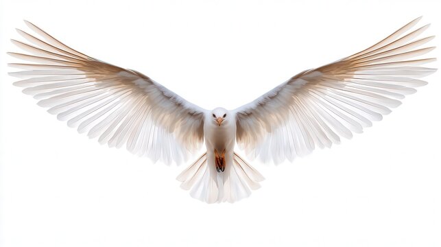 A majestic bird in mid-flight showcases its expansive wings against a bright background, symbolizing freedom and grace, This image can enhance nature-related articles, websites