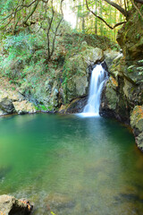 仙厳の滝　静岡県浜松市