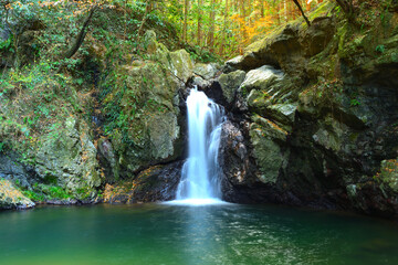 仙厳の滝　静岡県浜松市