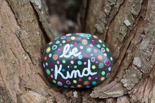 Be kind kindness rock in split of tree trunk