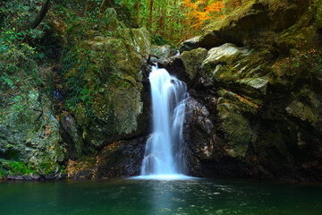 仙厳の滝　静岡県浜松市