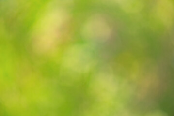 Natural defocus lights of green and yellow. Blurred background. Bokeh.