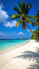 Obraz premium Tropical beach scene with palm tree (1)