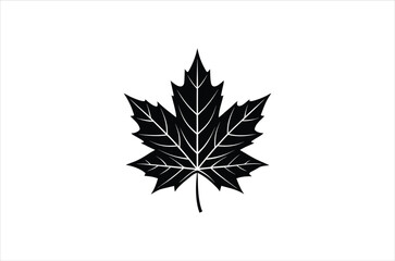 fall vector, r icon vector illustration, fall silhouette of a fall isolated on a white background, eps, png, svg,  vector,