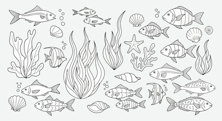 Vector Illustration of Fish Algae and Seashells in Hand Drawn Style