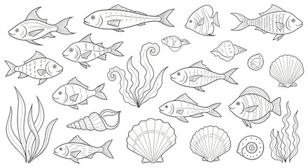 Seamless Vector Pattern with Various Fish Shells and Seaweed in Outline Style