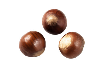 Three fresh raw chestnuts isolated on black