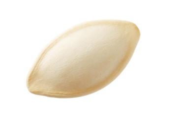 Soft cream-colored plush pillow cushion with curved oval shape on white background