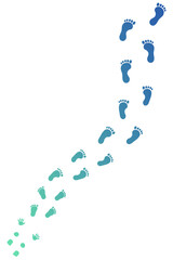 赤ちゃんから大人になるまでの足跡の軌跡　だんだん大きくなる足跡