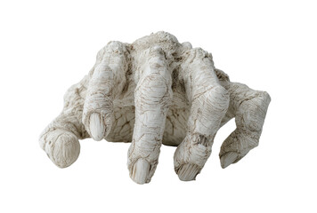 A pale, gnarled hand, textured like bone, reaches out.  Its fingers curl, and the surface shows signs of age or decay.  Against a black background