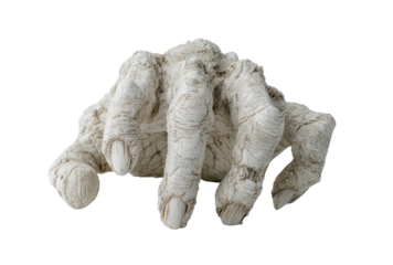 A pale, gnarled hand, textured like bone, reaches out.  Its fingers curl, and the surface shows signs of age or decay.  Against a black background