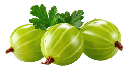 Fresh Gooseberries: A close-up captures the vibrant green skin and intricate textures of three ripe gooseberries, offering a refreshing taste of nature's bounty.