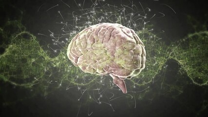 Starting filaments hovering around 3D brain, green lattice pulsing simulating neural activity - Powered by Adobe