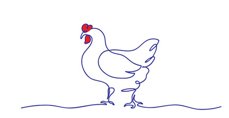 Fototapeta premium Line art chicken