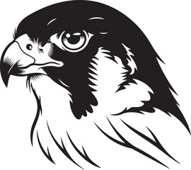 Eagle Head in Black and White