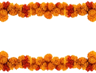 Floral border of marigold blossoms, orange and red, on black background