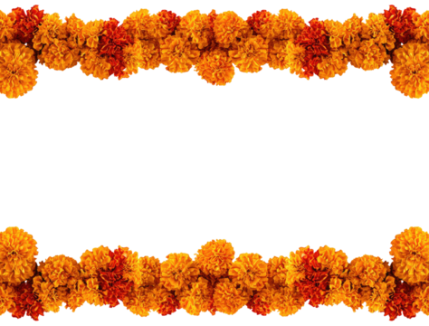 Floral border of marigold blossoms, orange and red, on black background