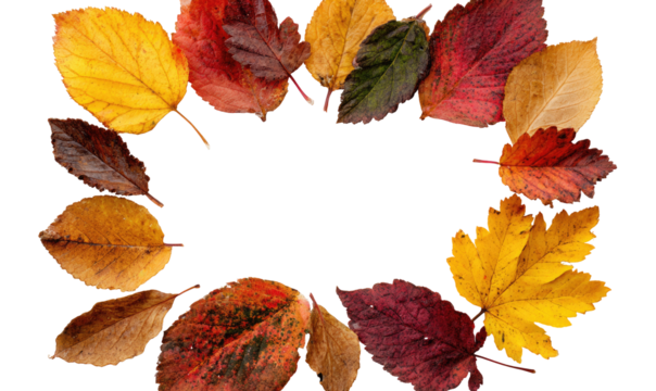 Autumn leaves frame a dark background.  Colorful fall foliage, various shades of red, orange, yellow, and brown leaves form a rectangular border