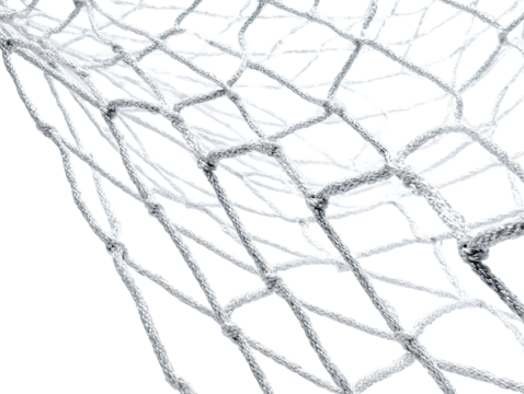 Intricate network of interwoven lines, creating a complex lattice structure.  White threads or branches form a dense, geometric pattern