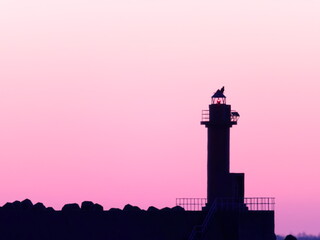 The morning sun as the Kiarashi departs from Shibetsu, Hokkaido