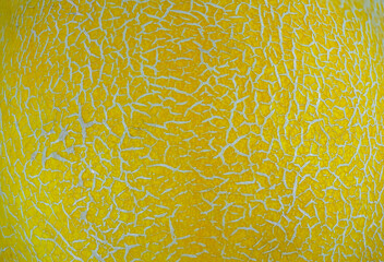 close up on texture of melon peel