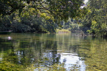 green boat floats peacefully on a clear, calm river. Sunlight filters through the lush trees, casting reflections and highlighting the rocky, moss-covered bottom