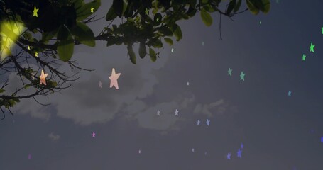 Framing overhanging tree branches draping green leaves against dusky sky, showing star shapes