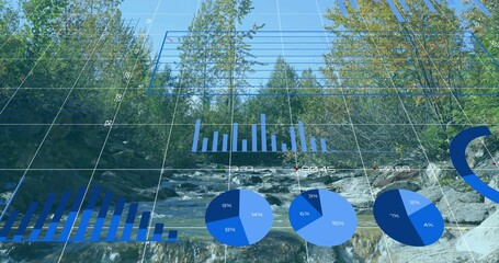 Flowing creek cascading over rocks amid forest with 3D grid displaying blue bar and pie charts